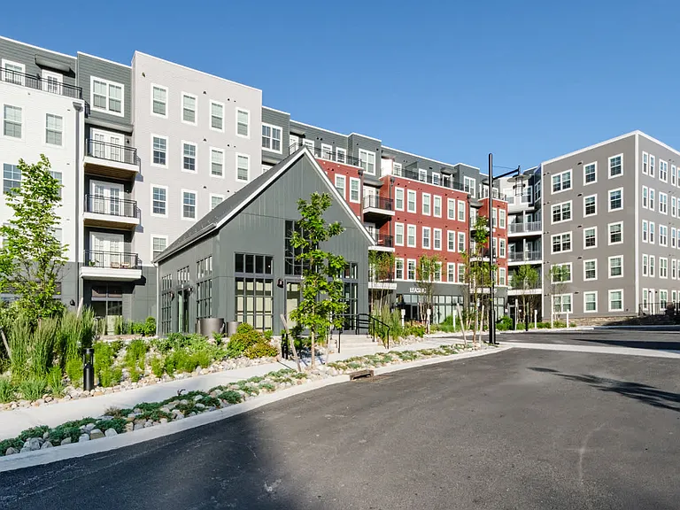 3 White Plains